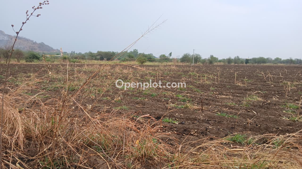 Land for Sale in Mohd.Gouspalli,Mulugu